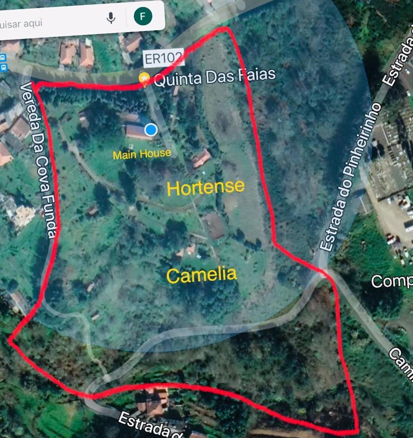 Quinta Das Faias Camacha  Bagian luar foto