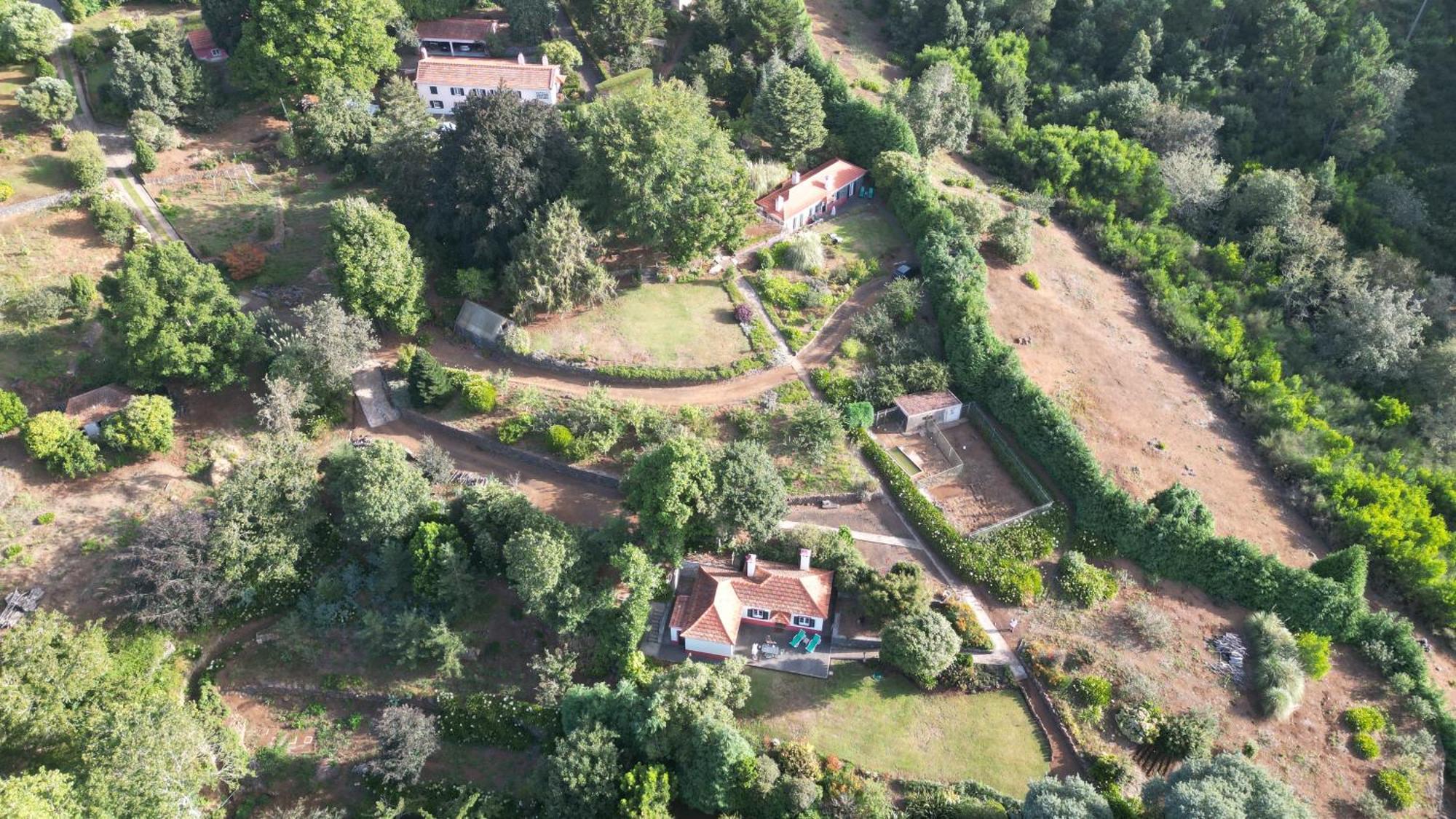 Quinta Das Faias Camacha  Bagian luar foto