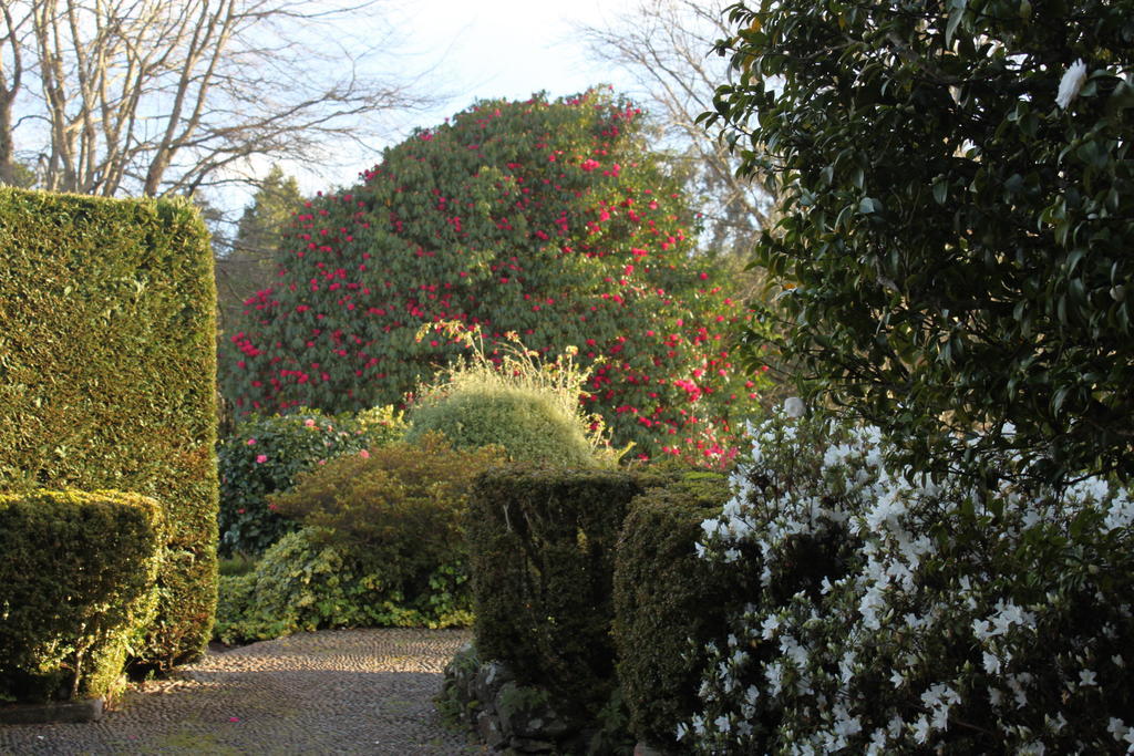 Quinta Das Faias Camacha  Bagian luar foto
