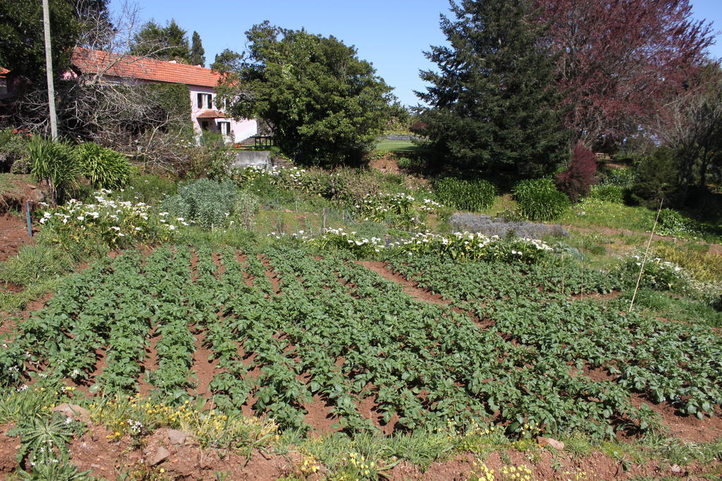 Quinta Das Faias Camacha  Bagian luar foto