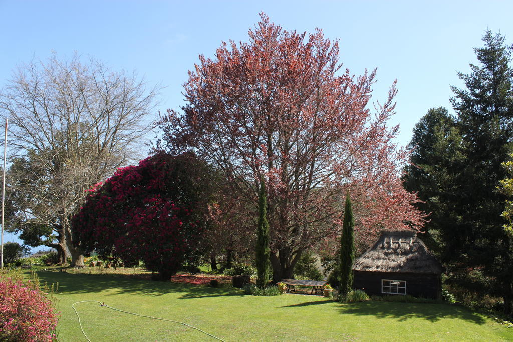 Quinta Das Faias Camacha  Bagian luar foto