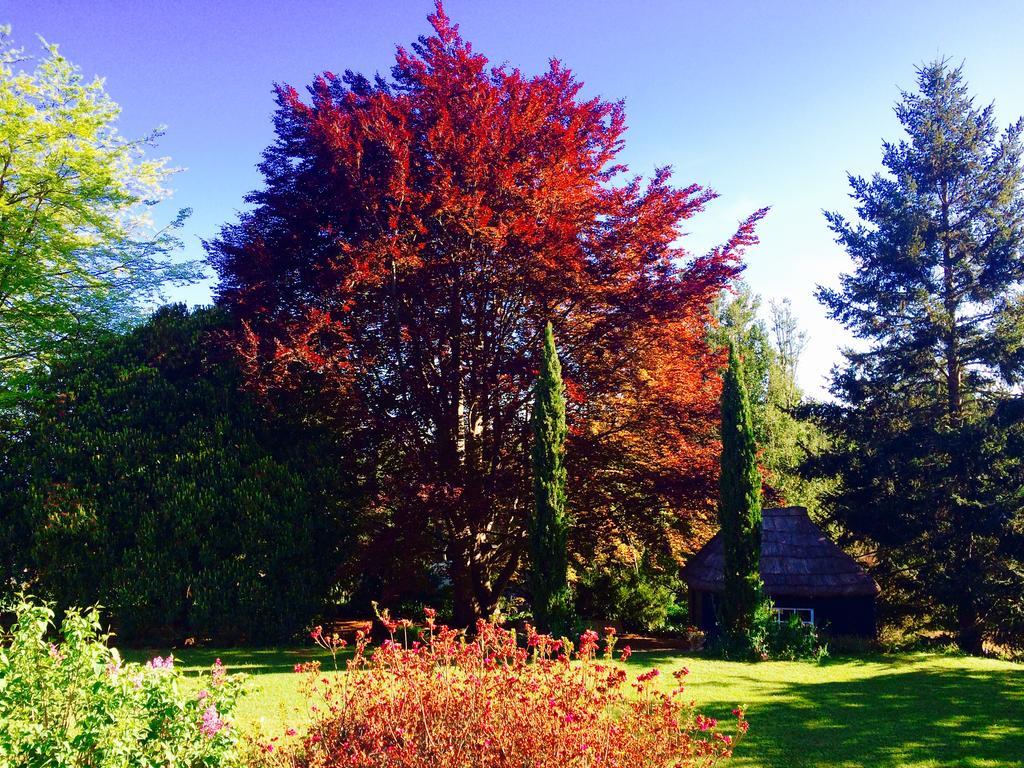 Quinta Das Faias Camacha  Bagian luar foto