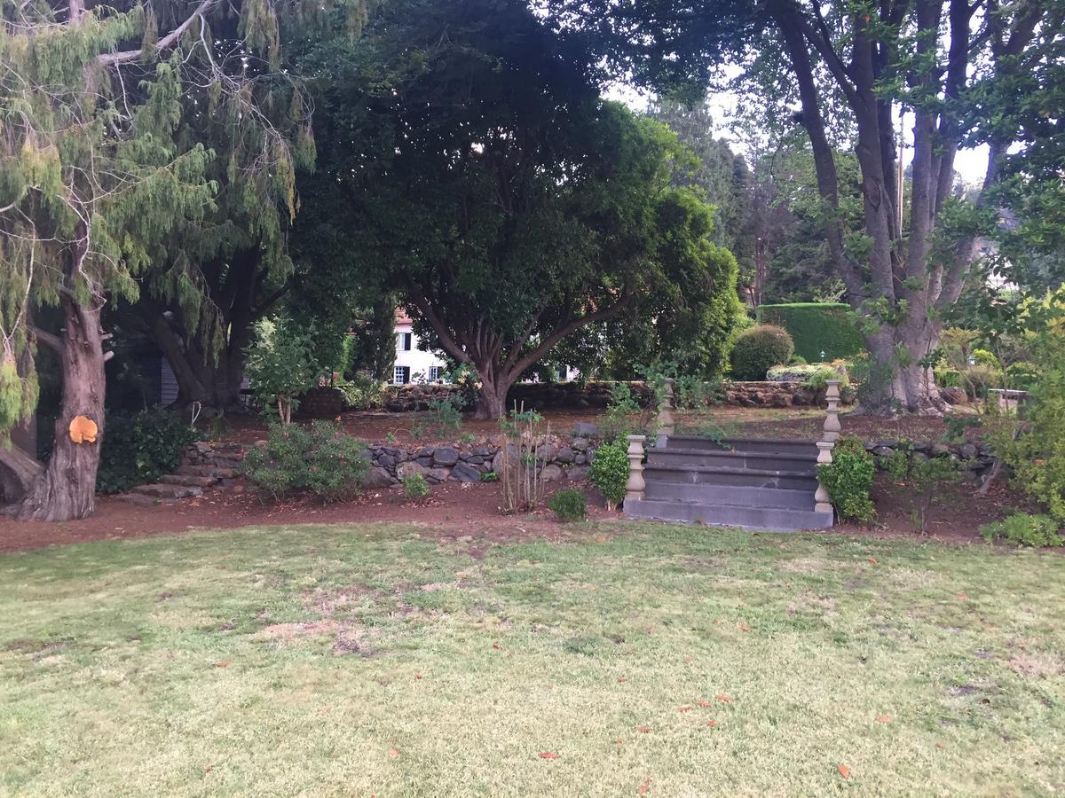 Quinta Das Faias Camacha  Bagian luar foto