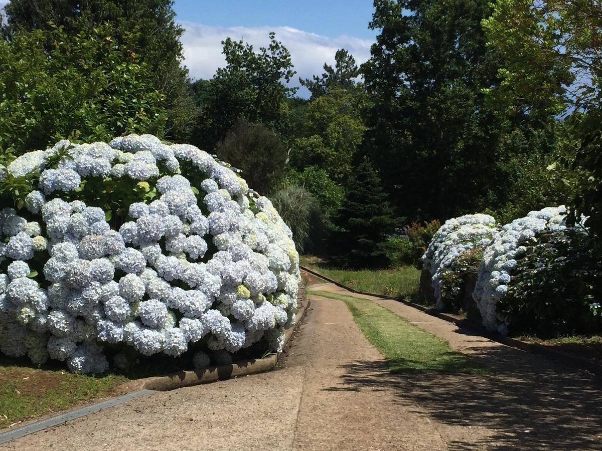 Quinta Das Faias Camacha  Bagian luar foto