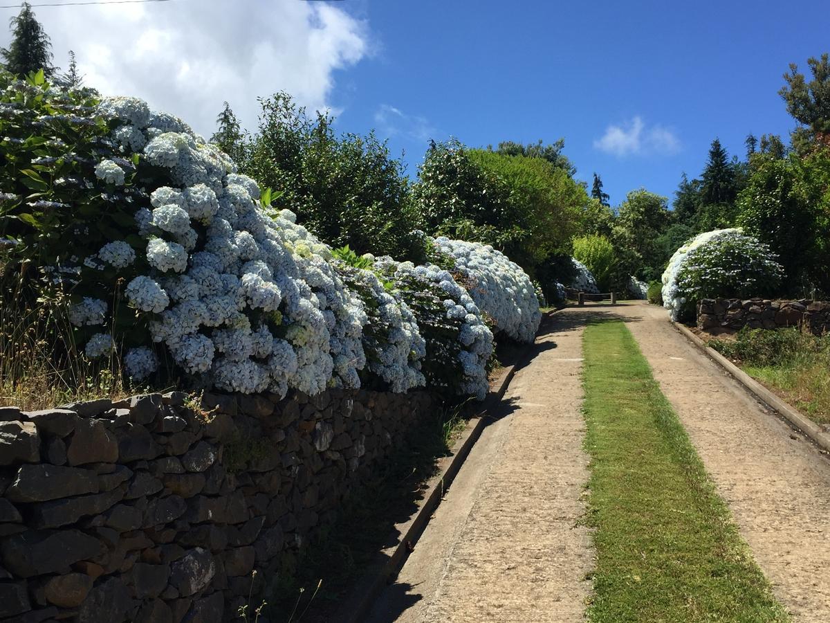 Quinta Das Faias Camacha  Bagian luar foto
