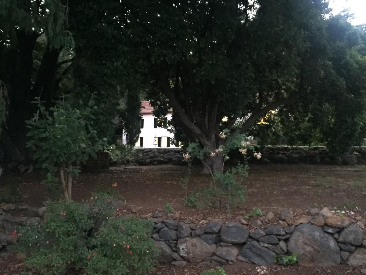 Quinta Das Faias Camacha  Bagian luar foto