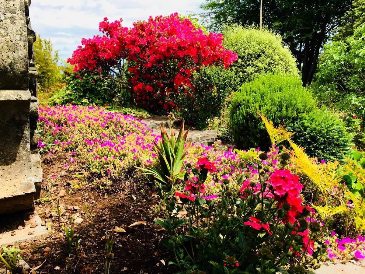 Quinta Das Faias Camacha  Bagian luar foto